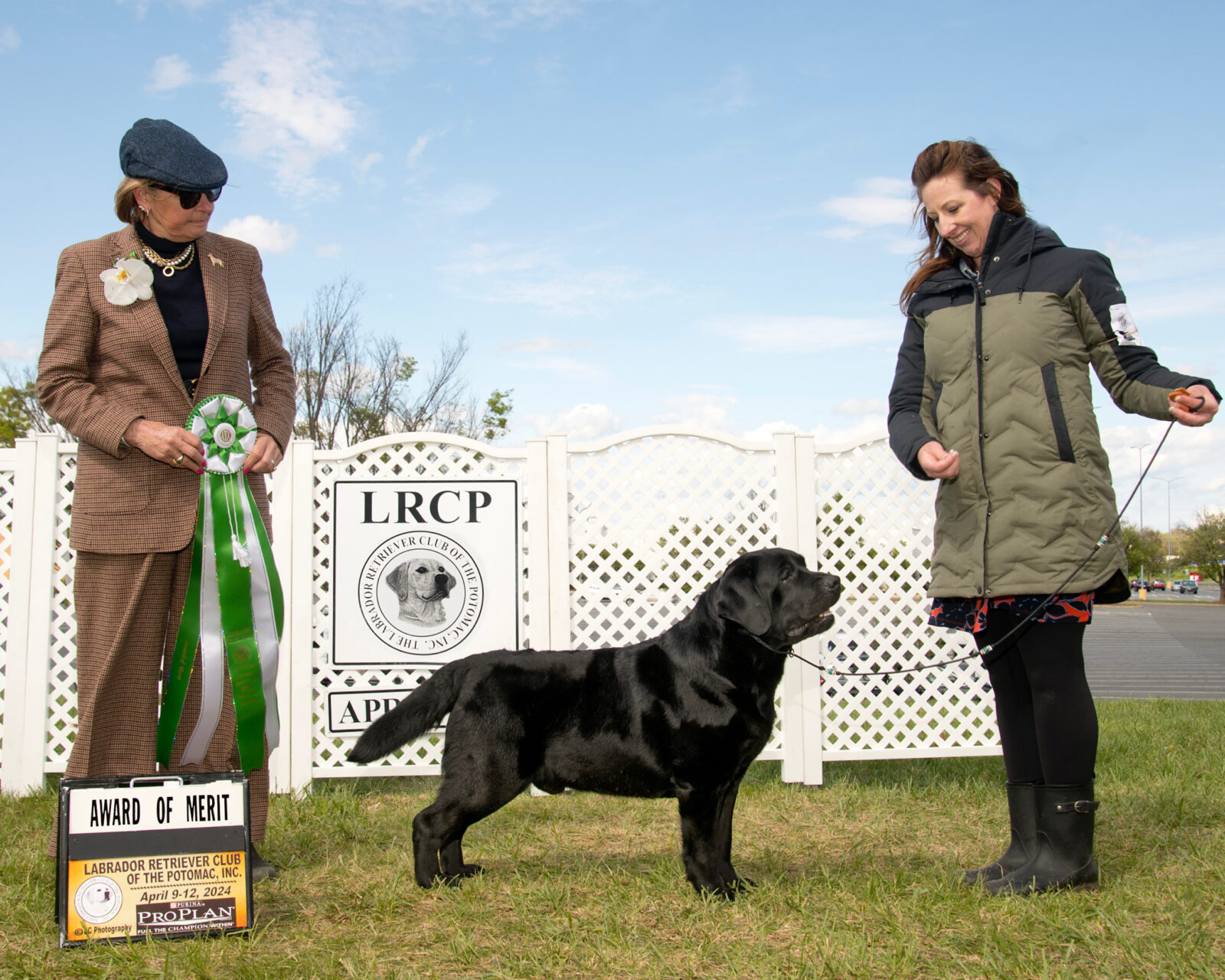 Photo of MBISS MRBIS GCHS Hoffmann’s Chimichanga, a Black Labrador Retriever.