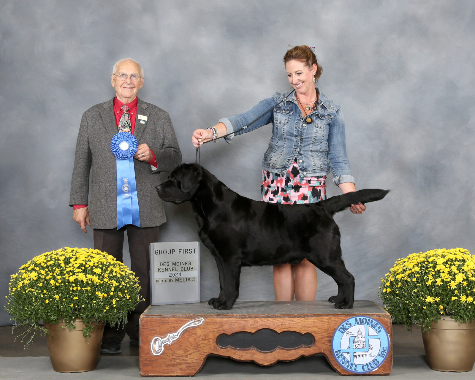 Photo of MBISS MRBIS GCHS Hoffmann’s Chimichanga, a Black Labrador Retriever.