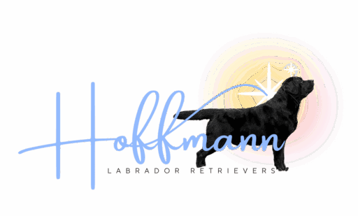 Hoffmann Labrador Retrievers Logo