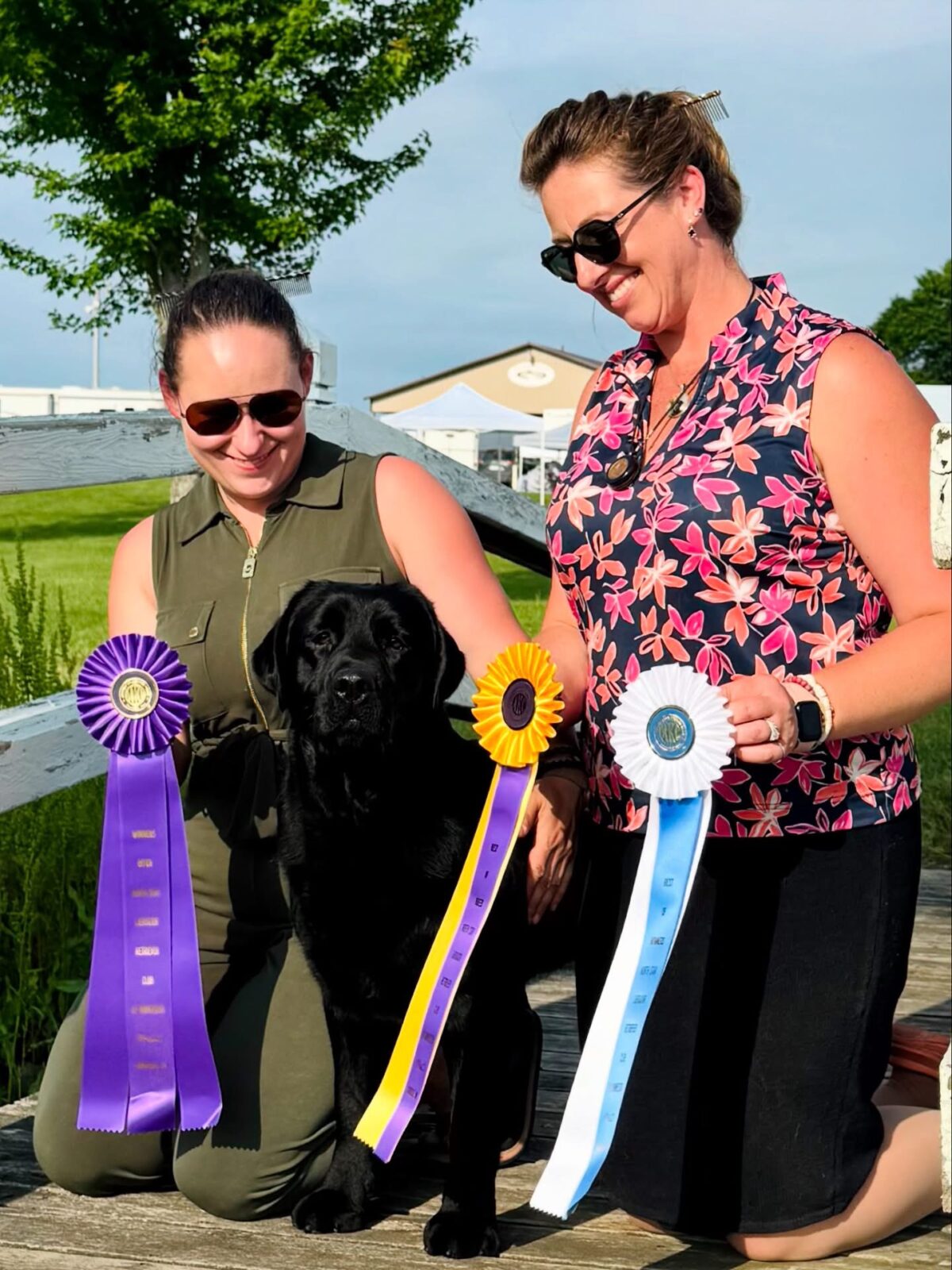 Photo of Gallivant’s I Live For The Applause, a Black Labrador Retriever.
