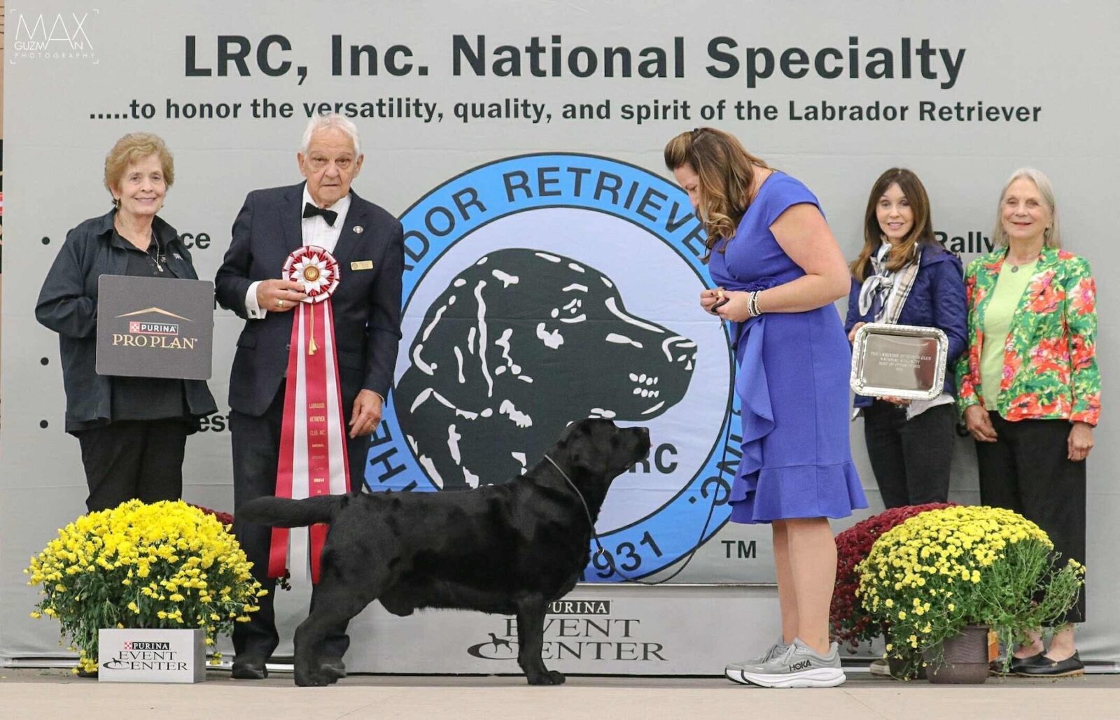 Photo of BOSS CH Hoffmann’s Mr. Perfectly Fine, a Black Labrador Retriever.