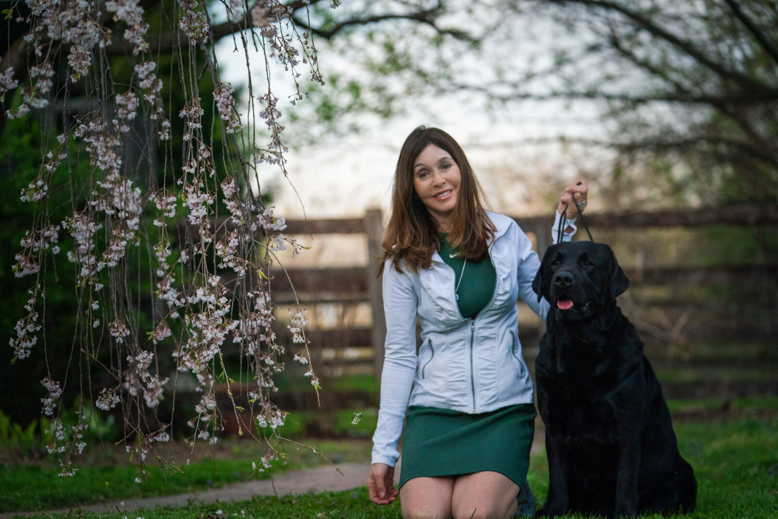 Photo of BOSS CH Hoffmann’s Mr. Perfectly Fine, a Black Labrador Retriever.