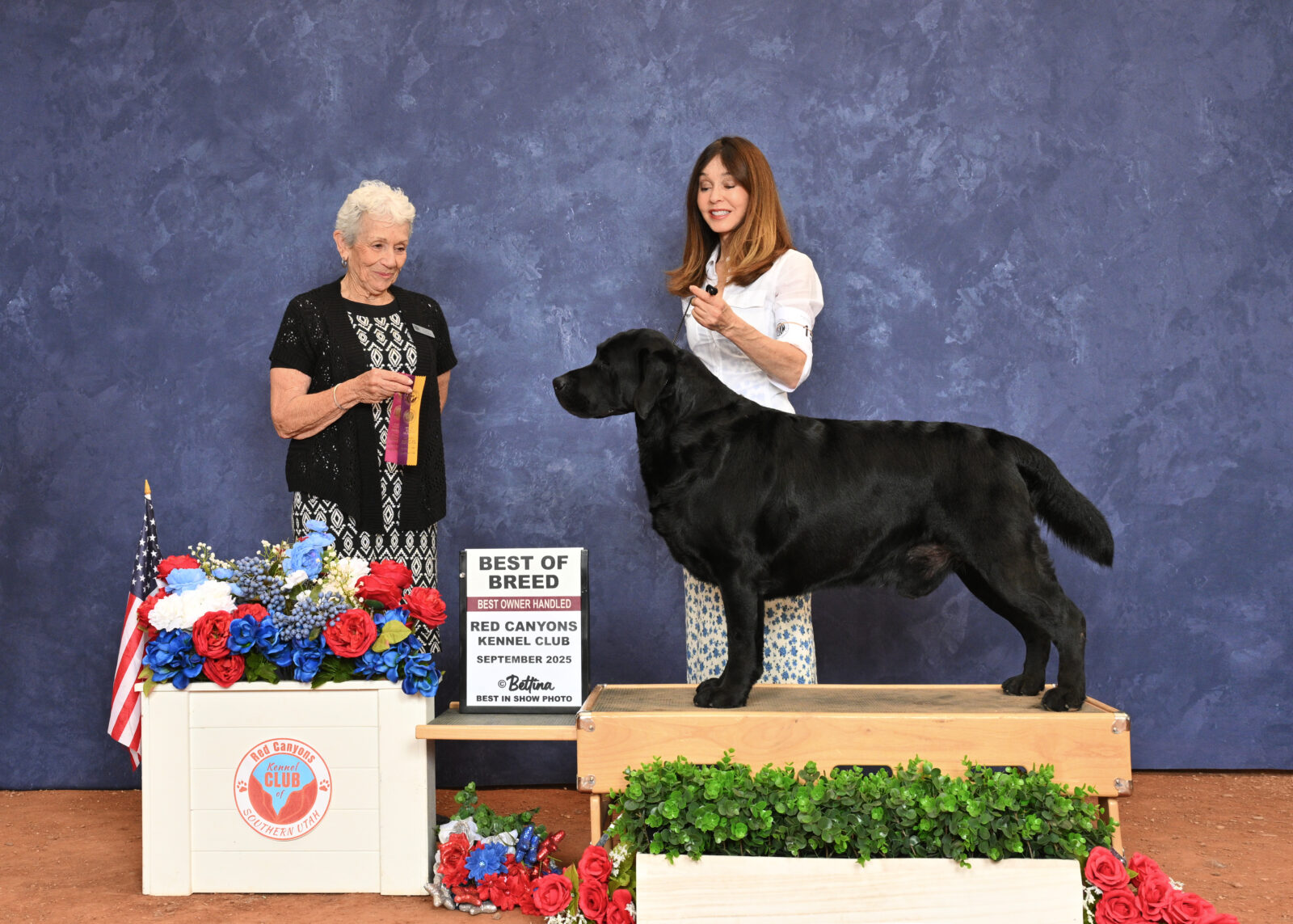 Photo of BOSS CH Hoffmann’s Mr. Perfectly Fine, a Black Labrador Retriever.