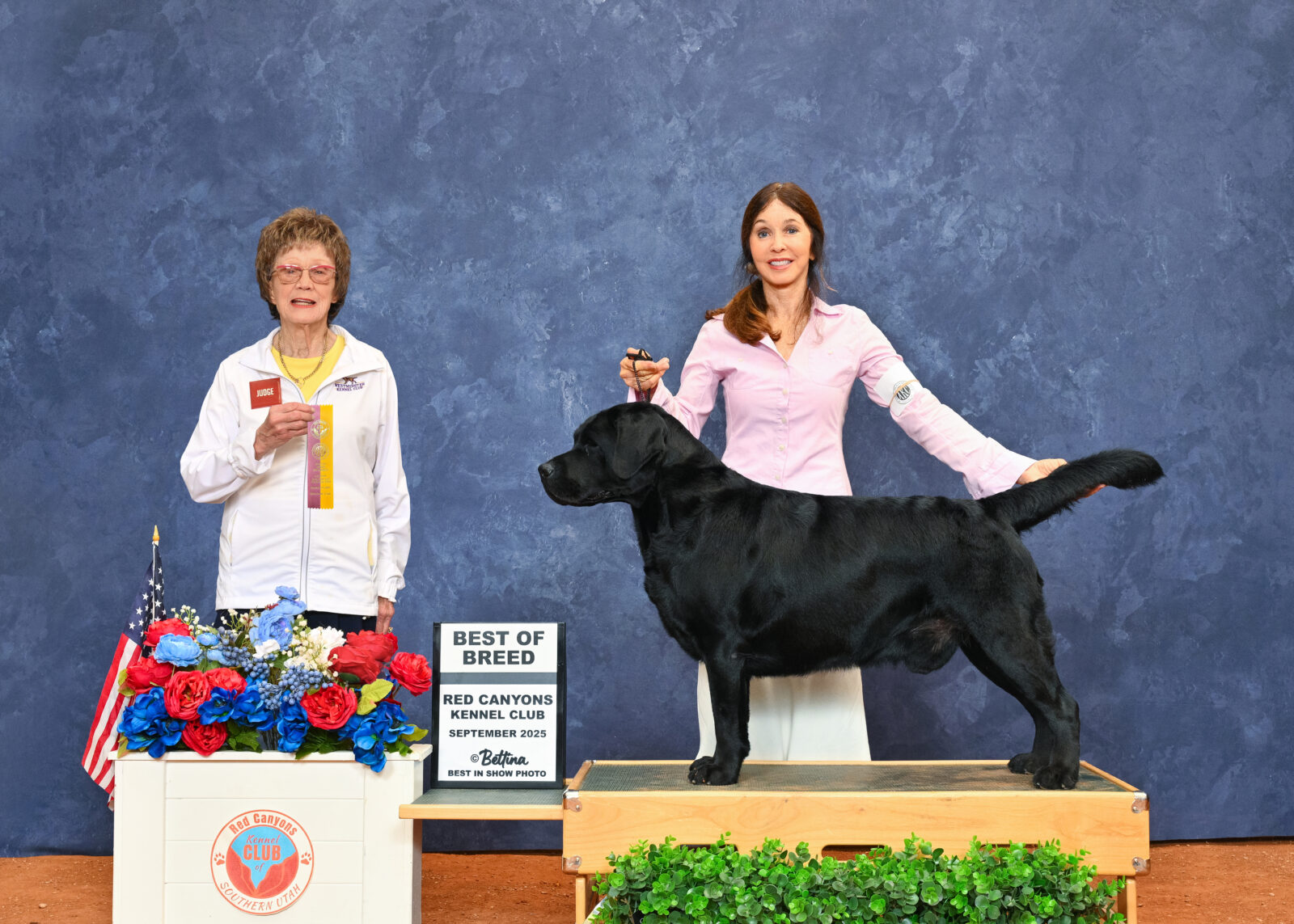 Photo of BOSS CH Hoffmann’s Mr. Perfectly Fine, a Black Labrador Retriever.