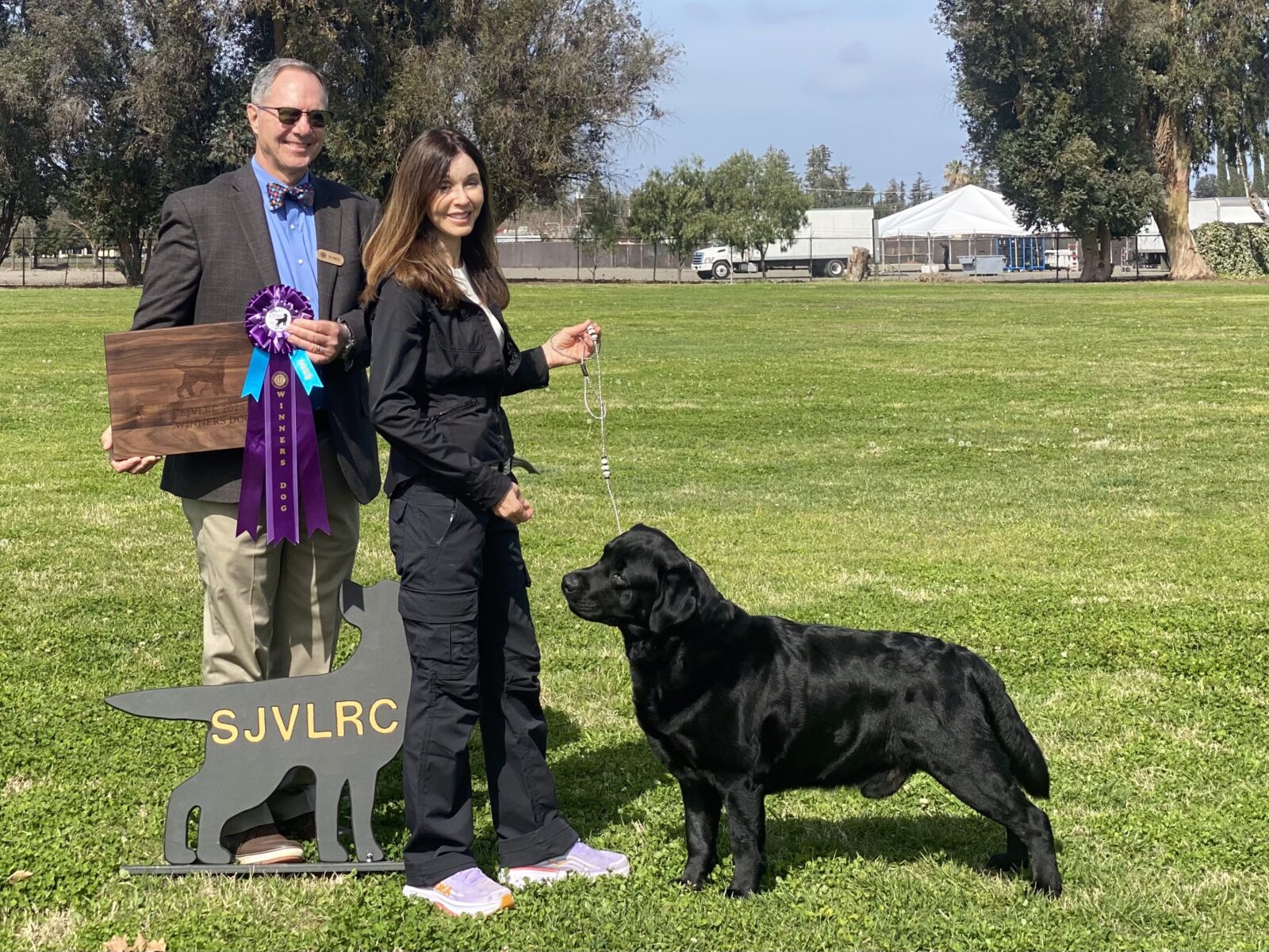 Photo of BOSS CH Hoffmann’s Mr. Perfectly Fine, a Black Labrador Retriever.