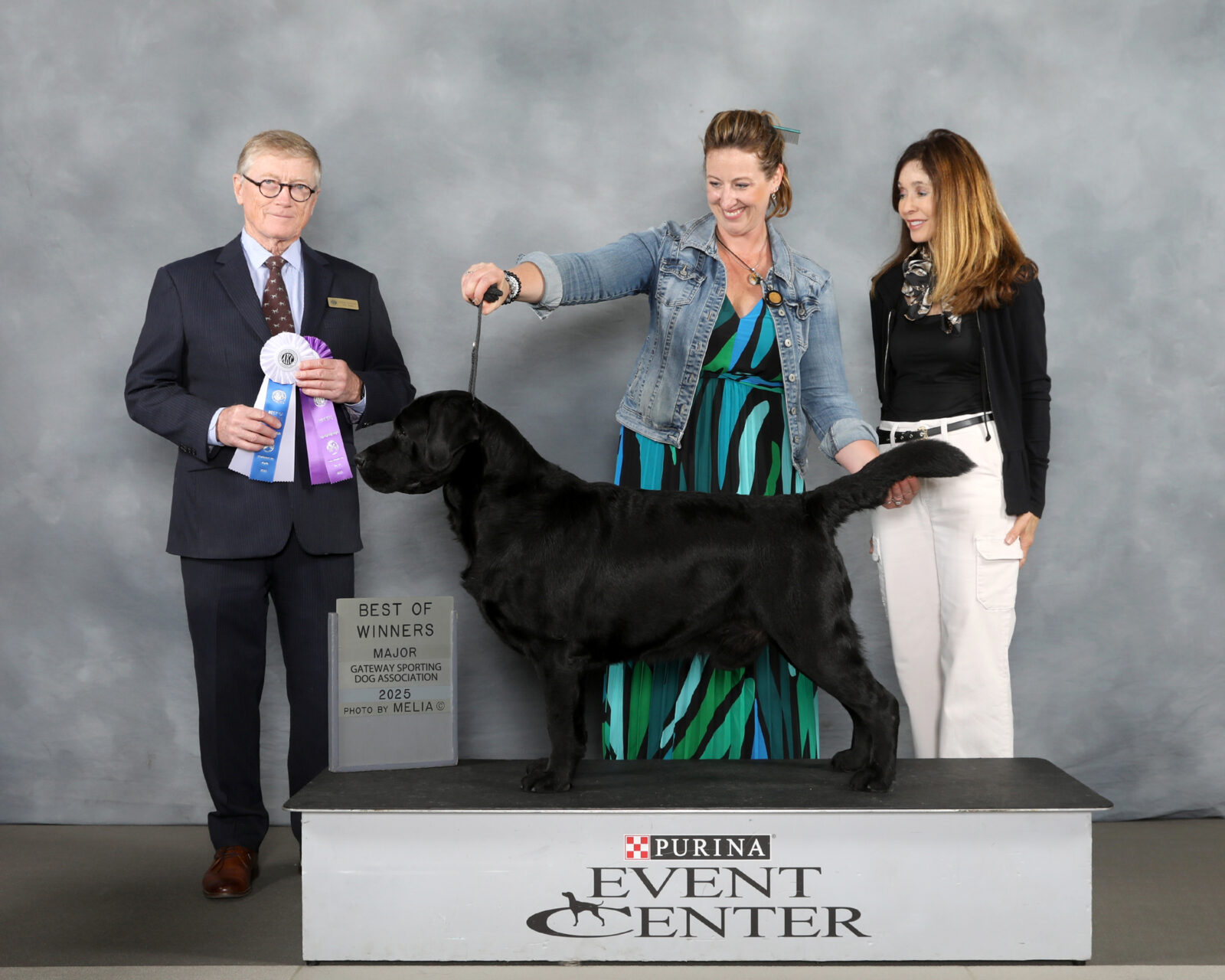 Photo of BOSS CH Hoffmann’s Mr. Perfectly Fine, a Black Labrador Retriever.